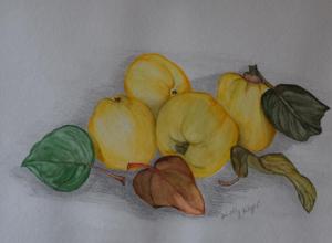 StillebenQuitten